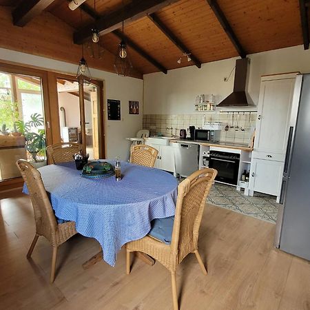 Ruheidylle Weitblick Apartment Kleinich Bagian luar foto